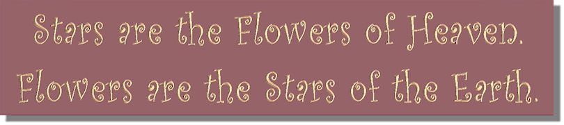 Stars are the Flowers of Heaven  Flowers are the Stars of the Earth